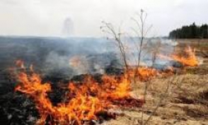 Հրդեհ Խոսրովի արգելոցում